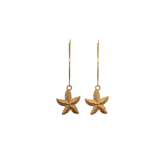 STARFISH DREAM